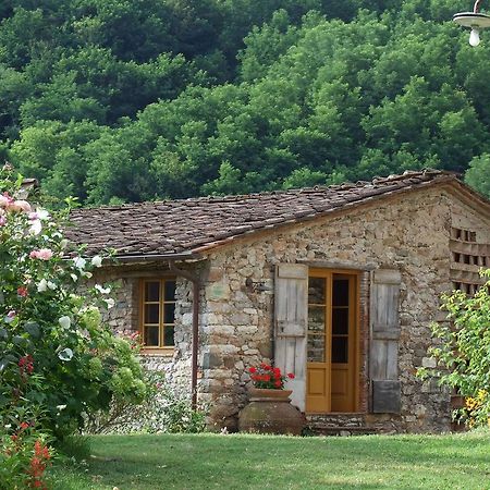 Villa Bottino By Salogi Villas San Martino in Freddana Dış mekan fotoğraf