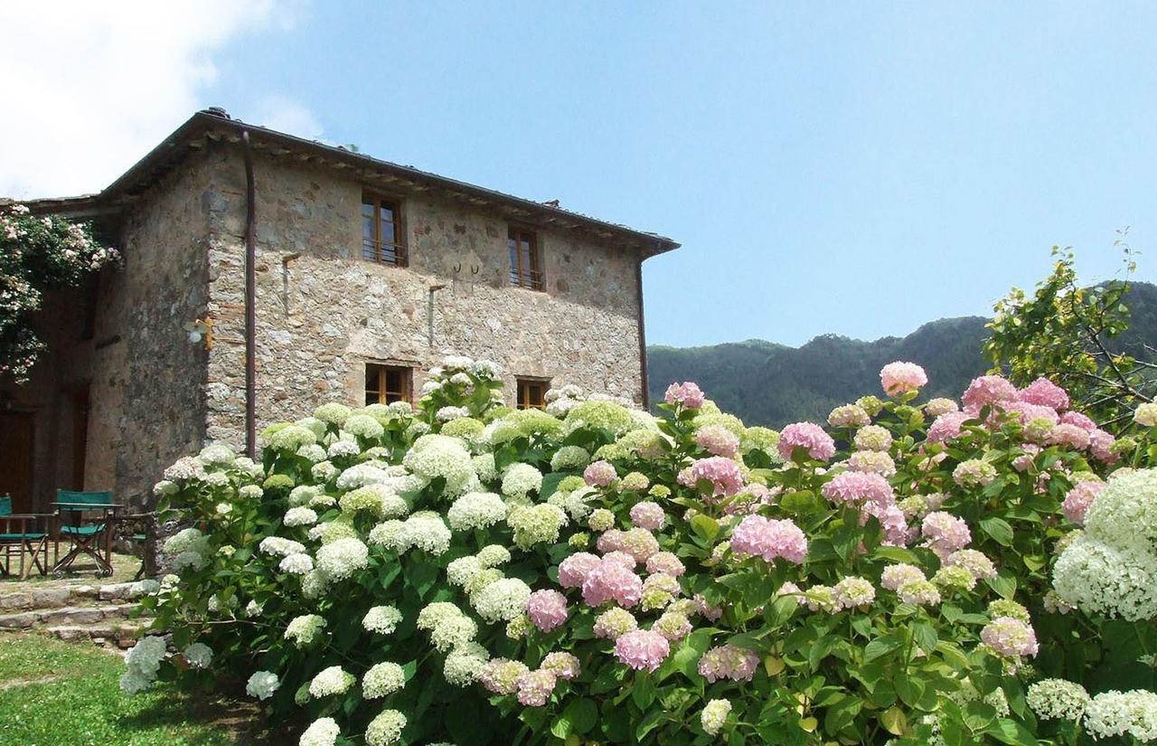 Villa Bottino By Salogi Villas San Martino in Freddana Dış mekan fotoğraf